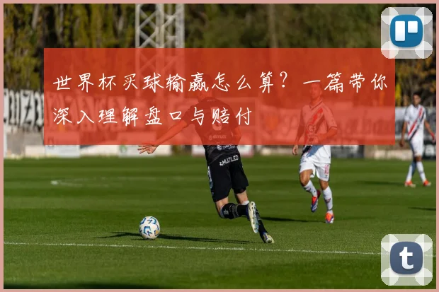 世界杯买球输赢怎么算？一篇带你深入理解盘口与赔付