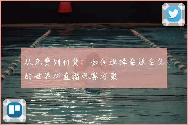 从免费到付费：如何选择最适合你的世界杯直播观赛方案