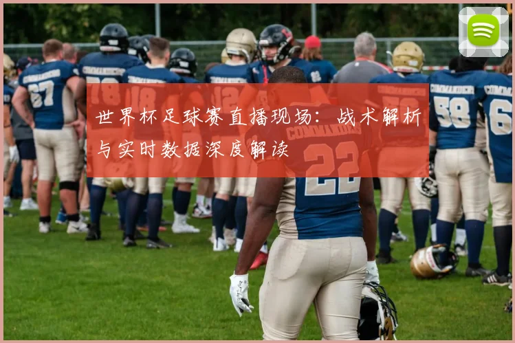 世界杯足球赛直播现场：战术解析与实时数据深度解读